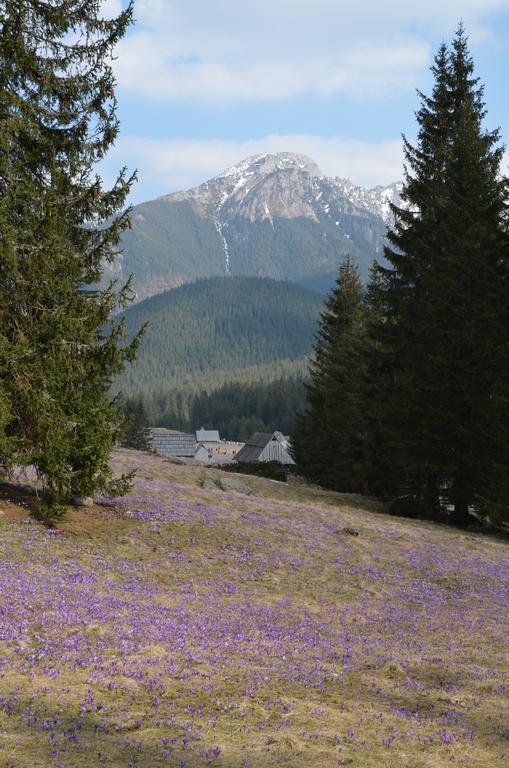 Jedla Miejsce Goscinne 3*