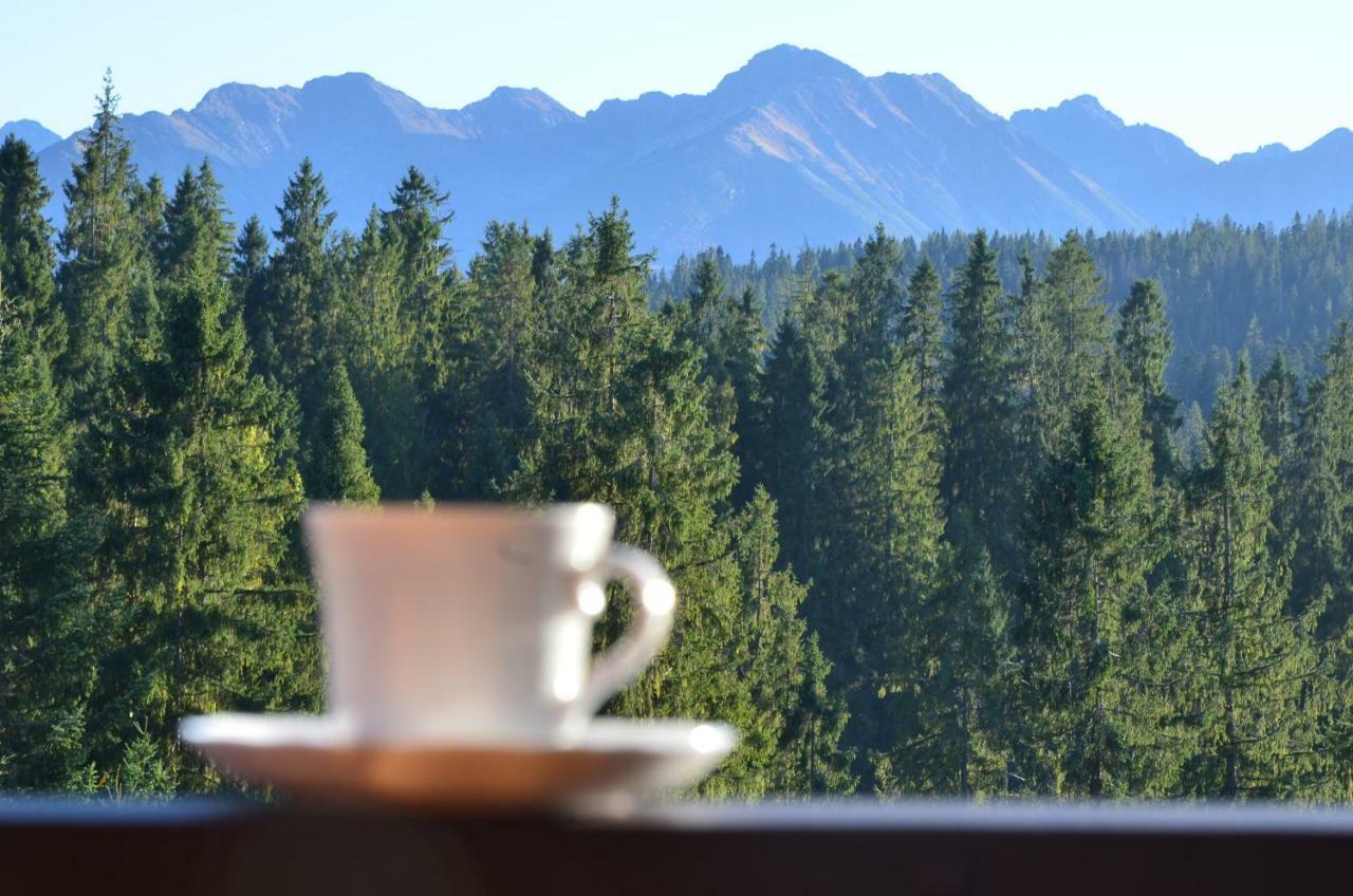 Bed and breakfast Jedla Miejsce Goscinne Bukowina Tatrzańska